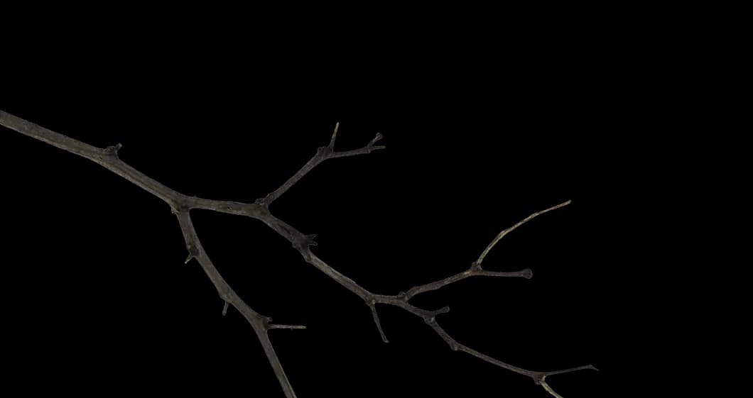 Branch Decoration