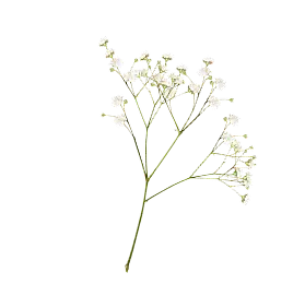 Decorative flower